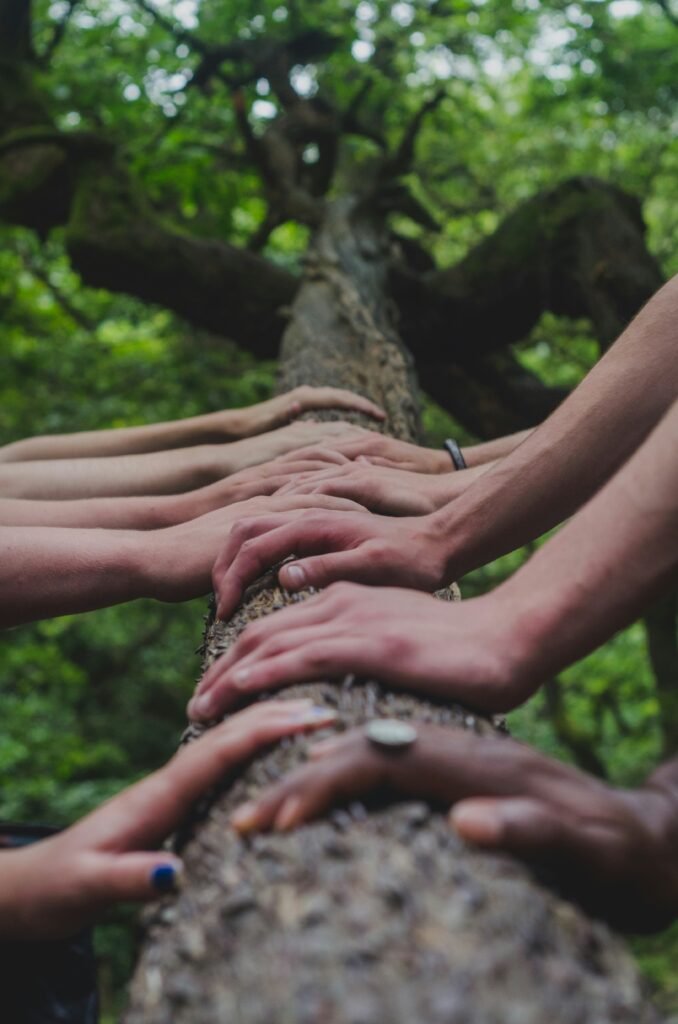 social-project